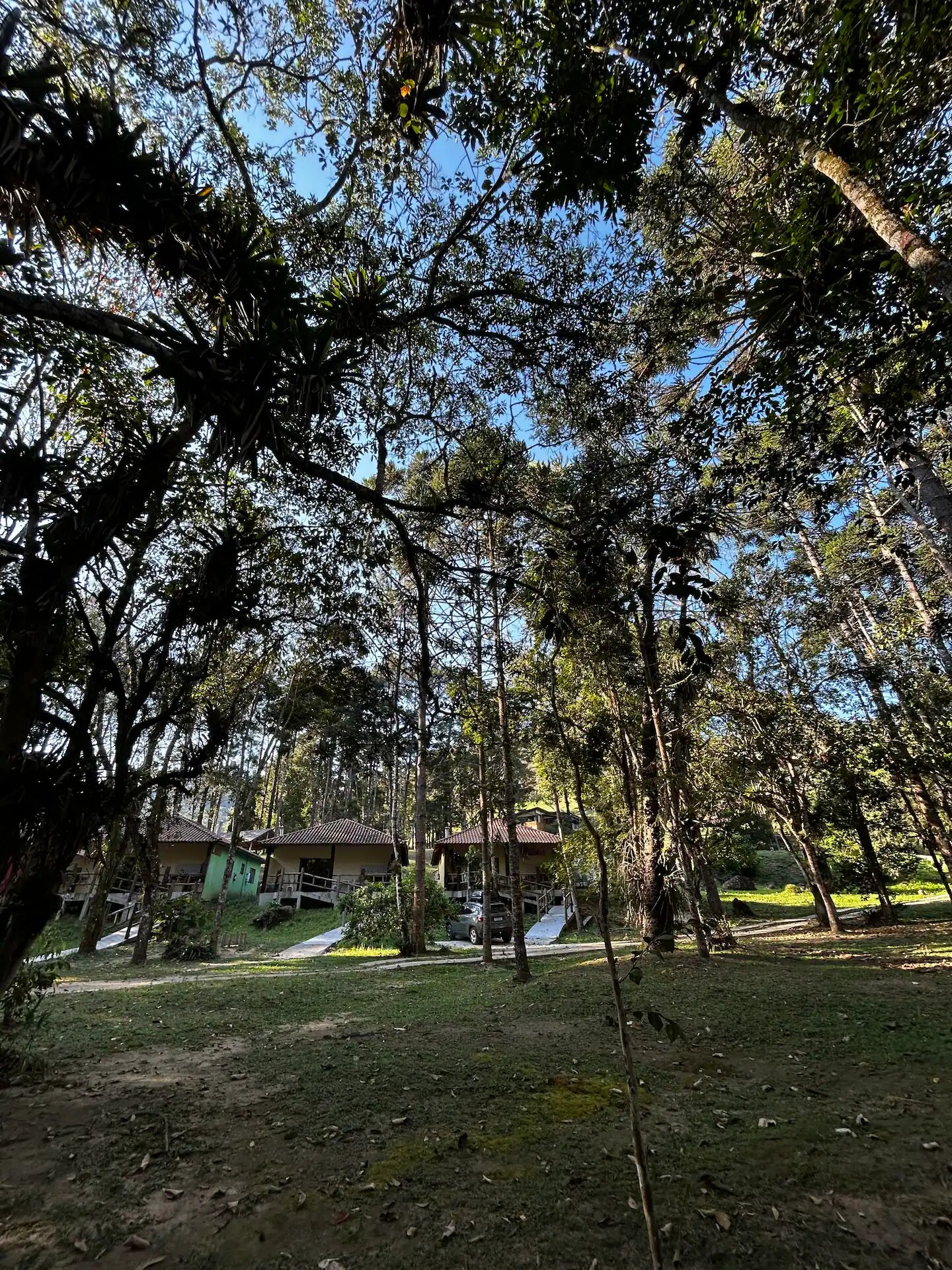 Chalé da Casa Terrário entre as araucárias